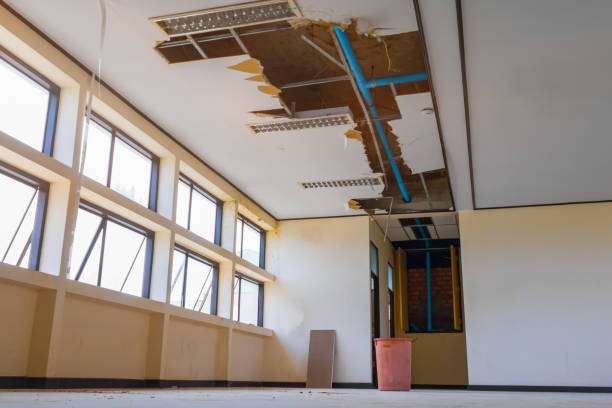 Best Professional water damage repair  in Beverly, OH