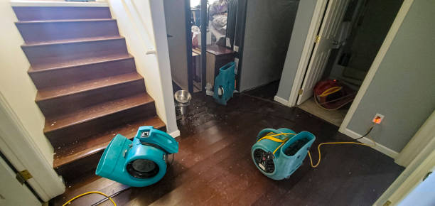 Best Emergency water extraction  in Beverly, OH