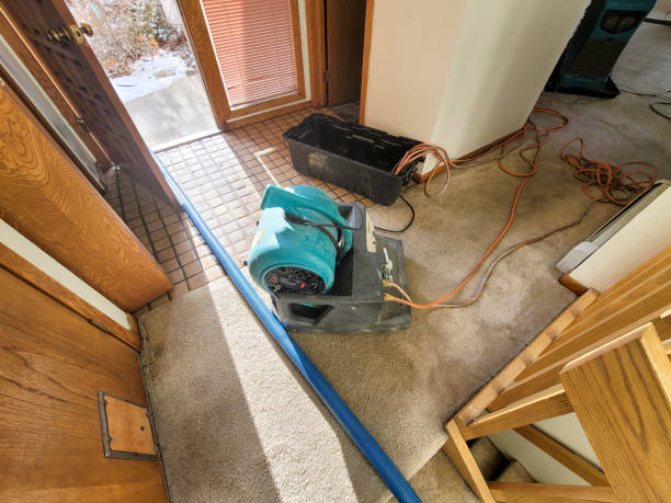 Best Flooded house restoration  in Beverly, OH