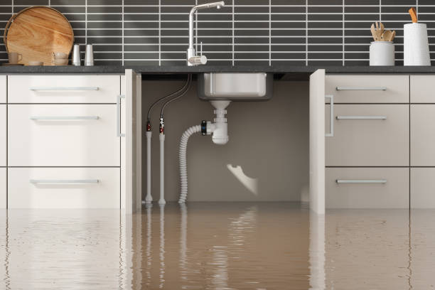Best Water damage restoration near me  in Beverly, OH