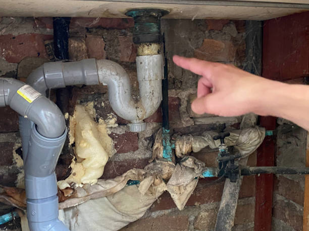 Best Carpet water damage restoration  in Beverly, OH